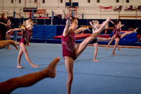 Mississauga Gymnastics