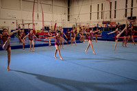 Mississauga Gymnastics