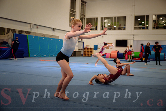 Mississauga Gymnastics