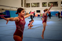 Mississauga Gymnastics