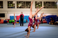 Mississauga Gymnastics
