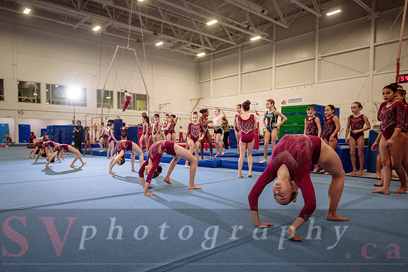Mississauga Gymnastics