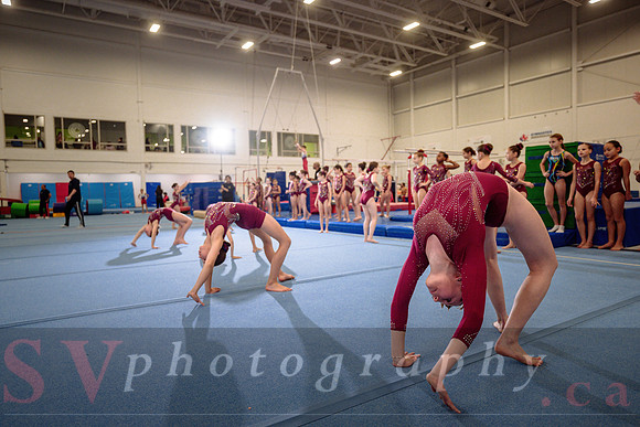 Mississauga Gymnastics