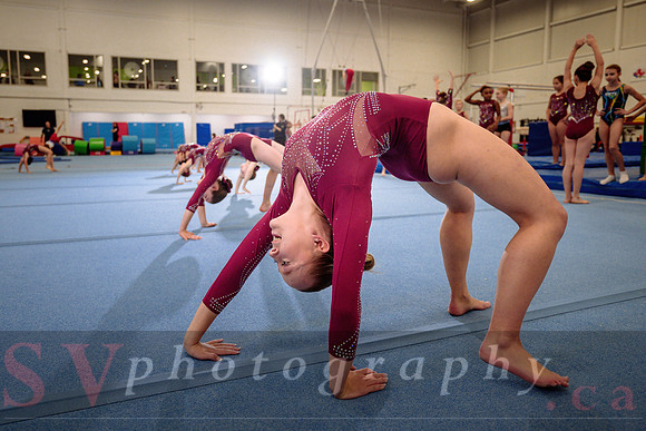 Mississauga Gymnastics