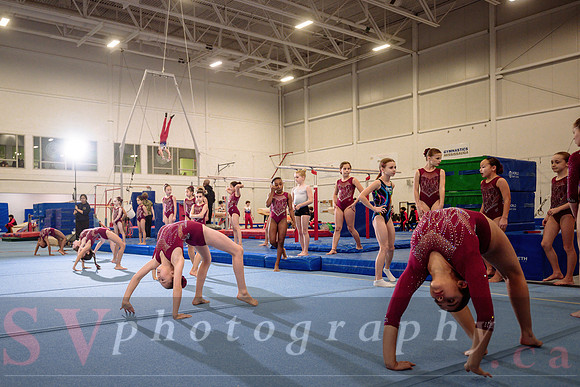 Mississauga Gymnastics