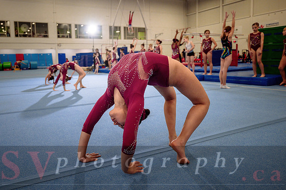 Mississauga Gymnastics