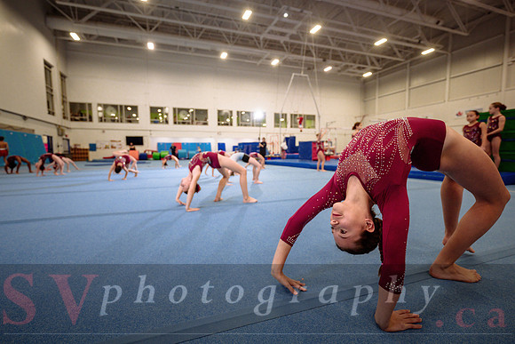 Mississauga Gymnastics