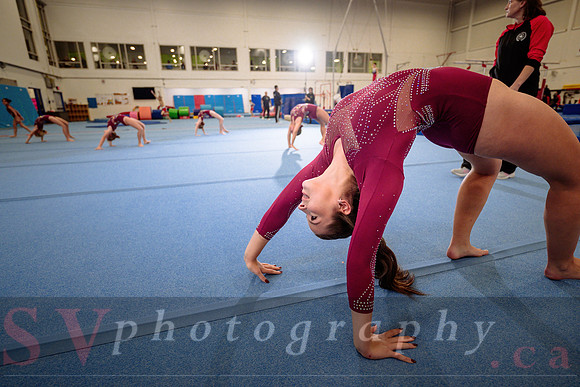 Mississauga Gymnastics