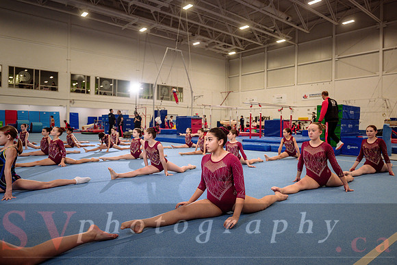 Mississauga Gymnastics
