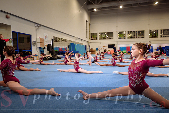 Mississauga Gymnastics