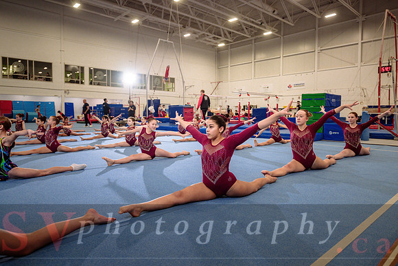 Mississauga Gymnastics