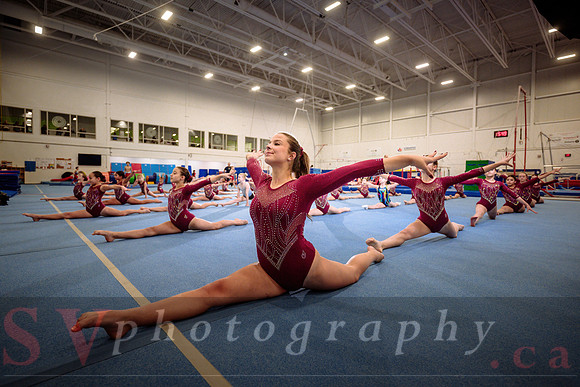 Mississauga Gymnastics