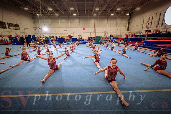 Mississauga Gymnastics