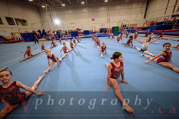 Mississauga Gymnastics