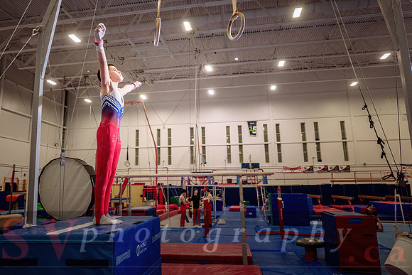 Mississauga Gymnastics