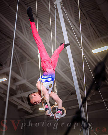 Mississauga Gymnastics