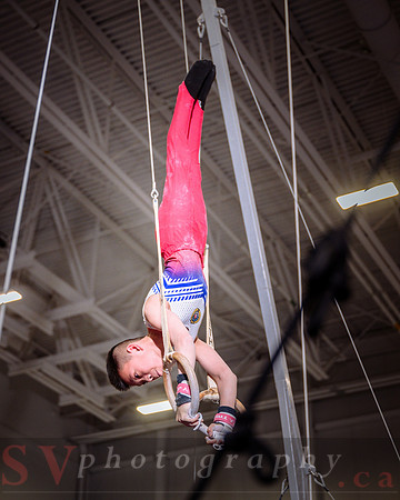 Mississauga Gymnastics