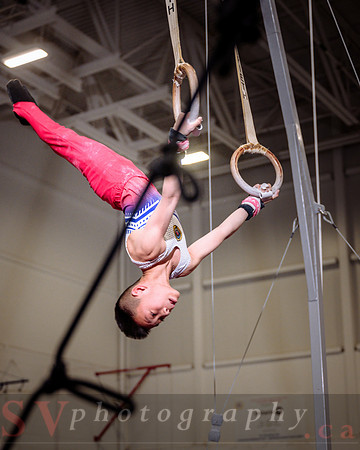 Mississauga Gymnastics