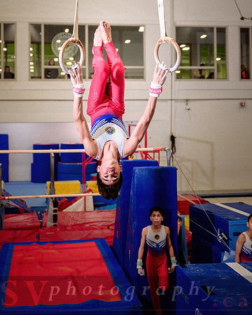Mississauga Gymnastics