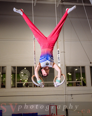Mississauga Gymnastics