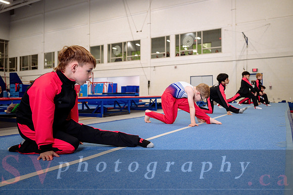 Mississauga Gymnastics
