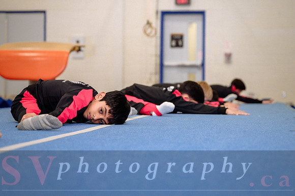 Mississauga Gymnastics