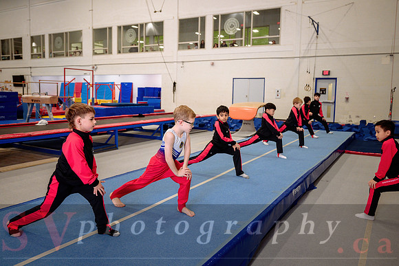 Mississauga Gymnastics