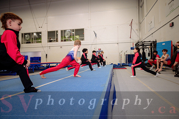 Mississauga Gymnastics