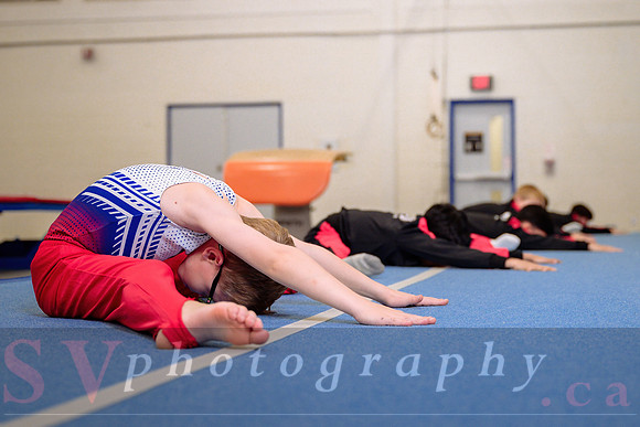 Mississauga Gymnastics