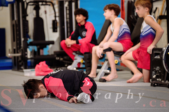Mississauga Gymnastics