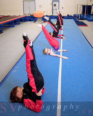 Mississauga Gymnastics