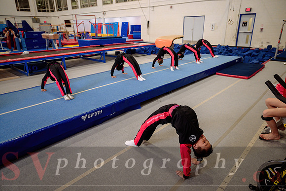 Mississauga Gymnastics
