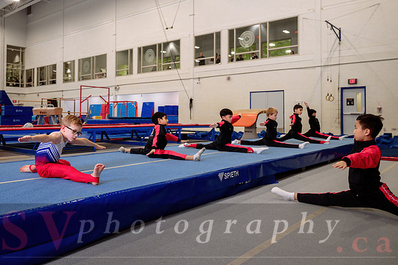 Mississauga Gymnastics