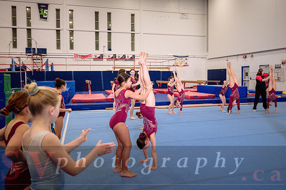 Mississauga Gymnastics