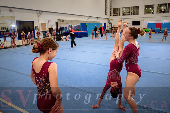 Mississauga Gymnastics