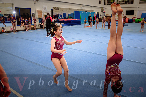 Mississauga Gymnastics