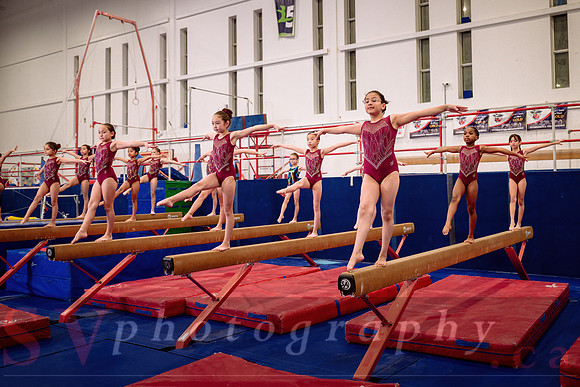 Mississauga Gymnastics