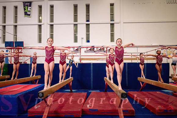 Mississauga Gymnastics
