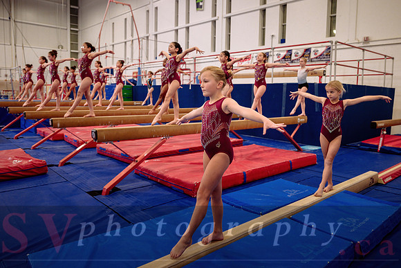 Mississauga Gymnastics