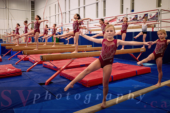 Mississauga Gymnastics