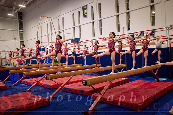 Mississauga Gymnastics
