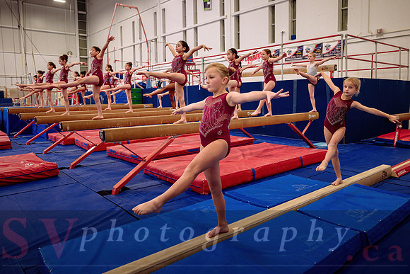 Mississauga Gymnastics
