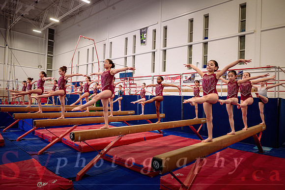 Mississauga Gymnastics