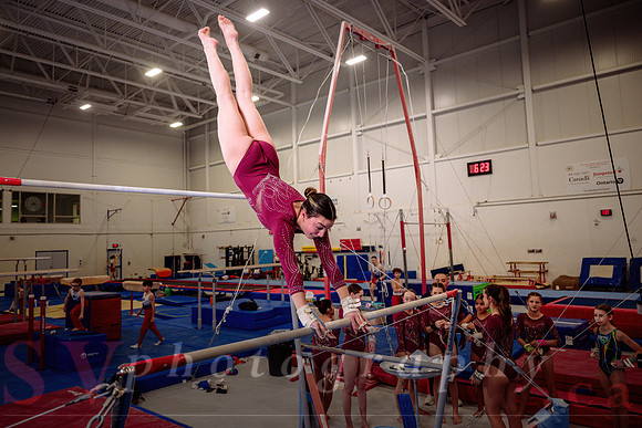 Mississauga Gymnastics