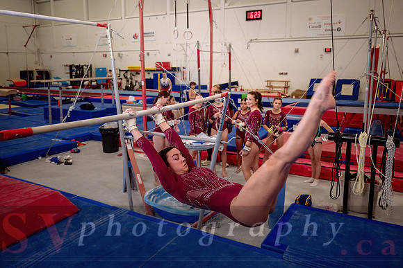 Mississauga Gymnastics