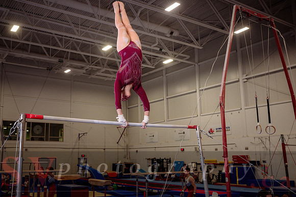 Mississauga Gymnastics
