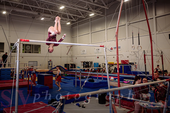 Mississauga Gymnastics