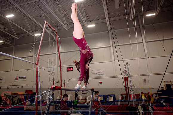 Mississauga Gymnastics