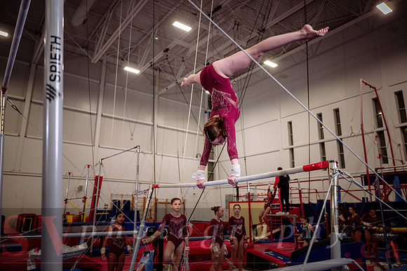 Mississauga Gymnastics