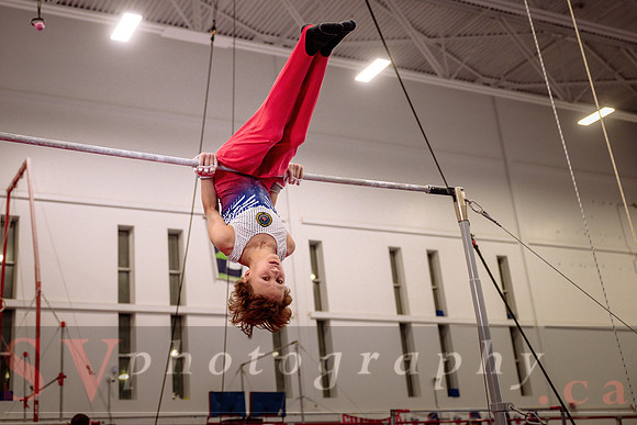 Mississauga Gymnastics